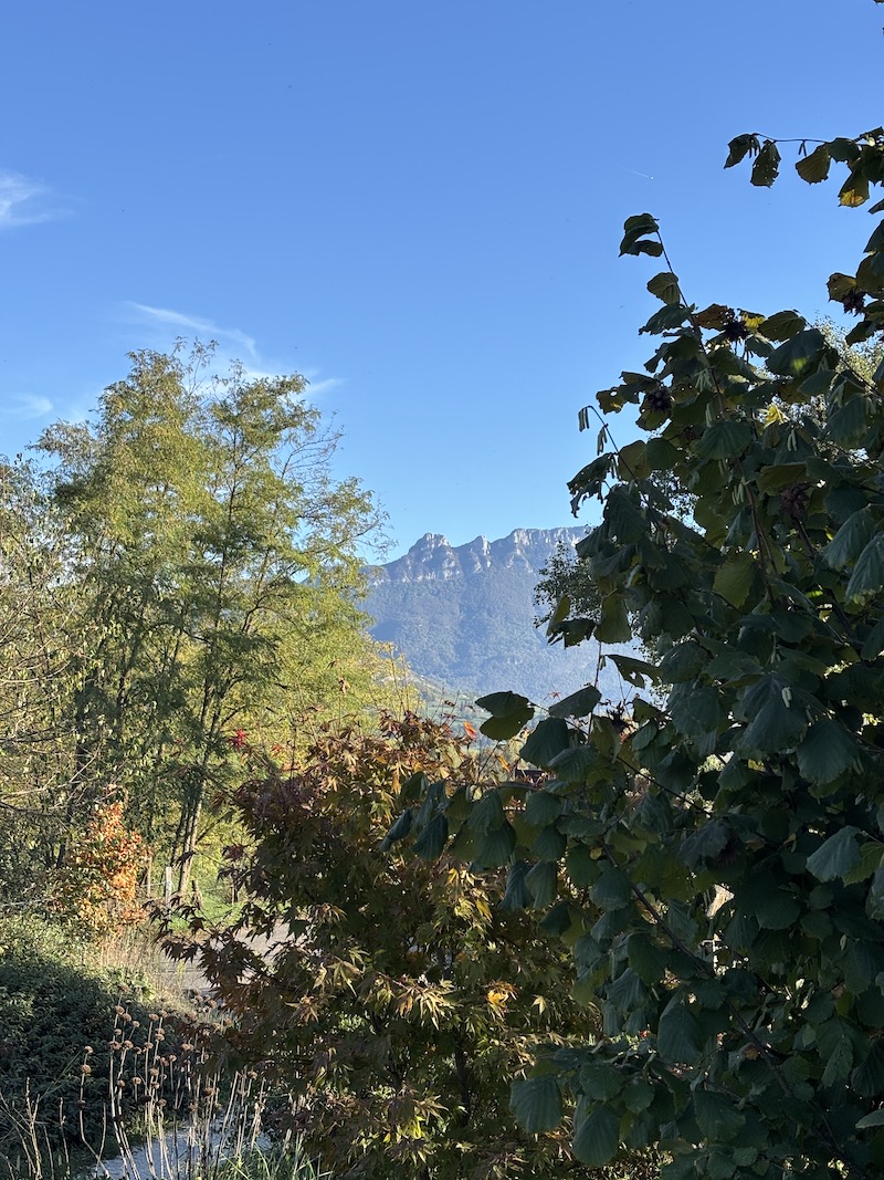 Dent du Chat